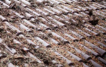 Milton Street roof cleaning companies